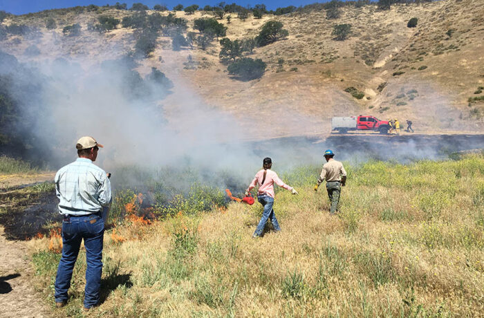 Controlled fire burning with three firefighters and a truck in the background at UC ANR