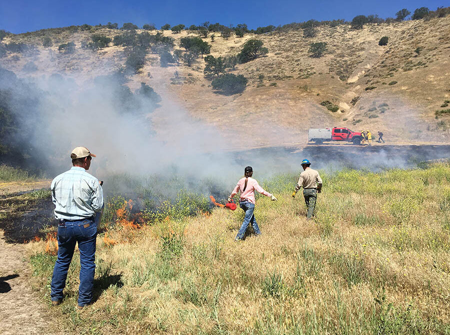 Controlled fire burning with three firefighters and a truck in the background at UC ANR