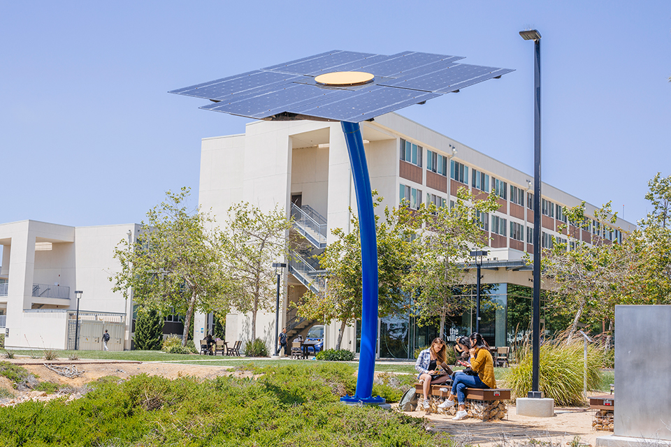 Students study on a bench underneath a large solar installation