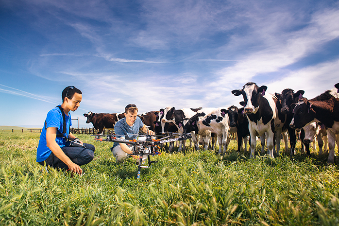 UC Global Food Initiative Fellows test equipment in a field surrounded by cows