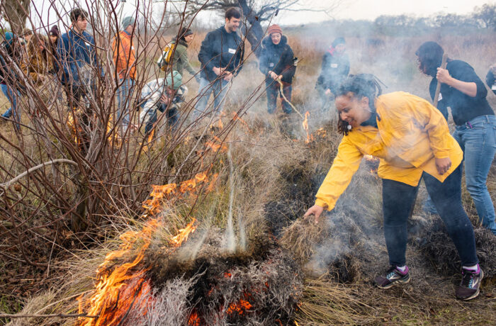 UC Davis Professor of Native American Studies throws deergrass onto a burning pile with students taking part in a cultural burn