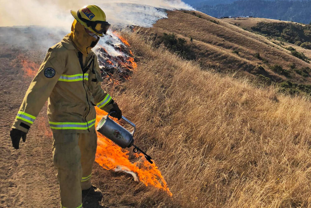 Person in uniform treating wildfire in a field