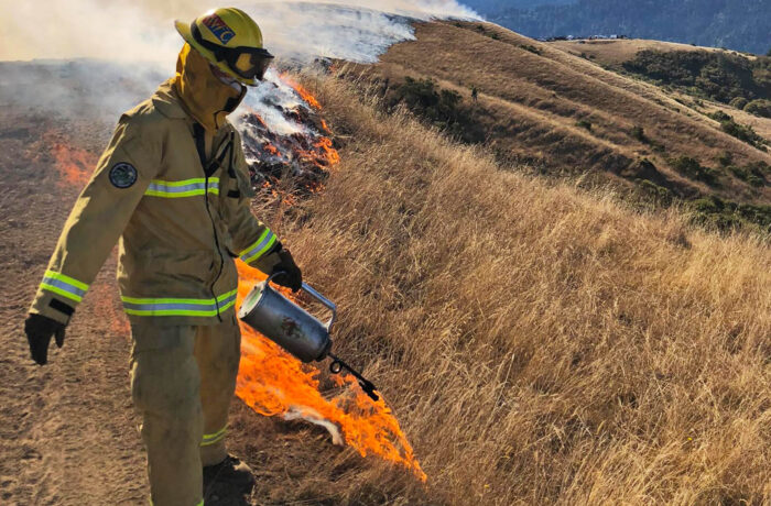 Person in uniform treating wildfire in a field