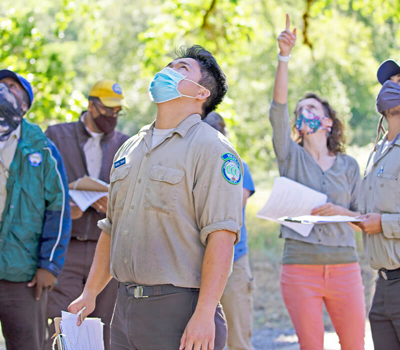Group of men and woman from the California Naturalist Program looking up at something in the trees