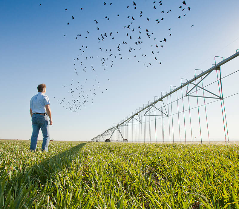 Man standing on farm in front of large sprinkler irrigation 