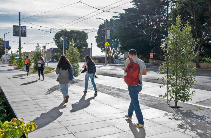 Young street trees planted along side the road at UCSF Parnassus Heights campus