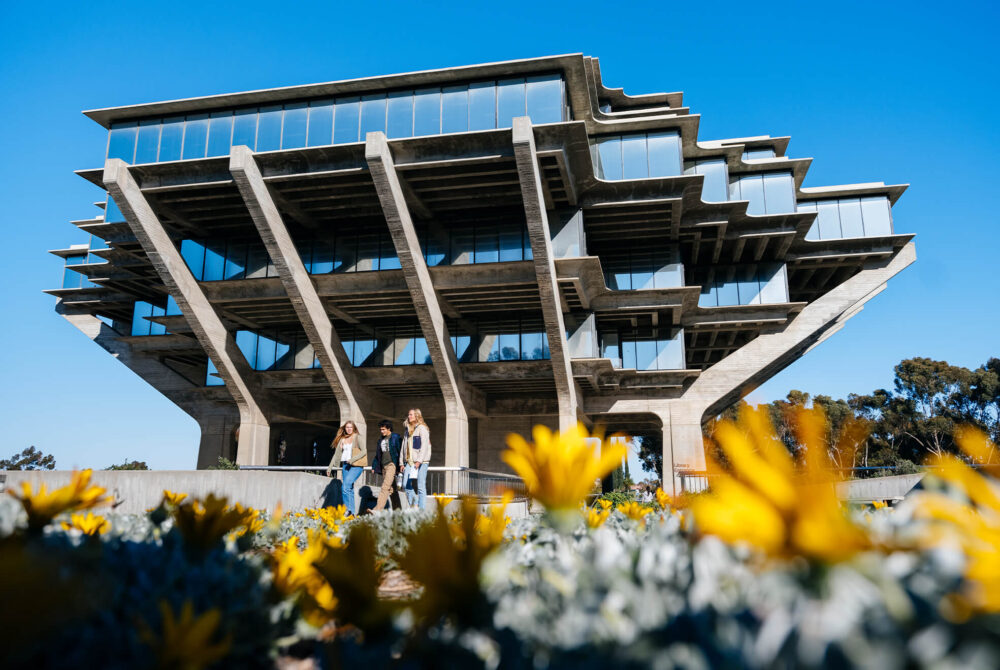 Students walking on UC San Diego campus with yellow flowers in foreground.