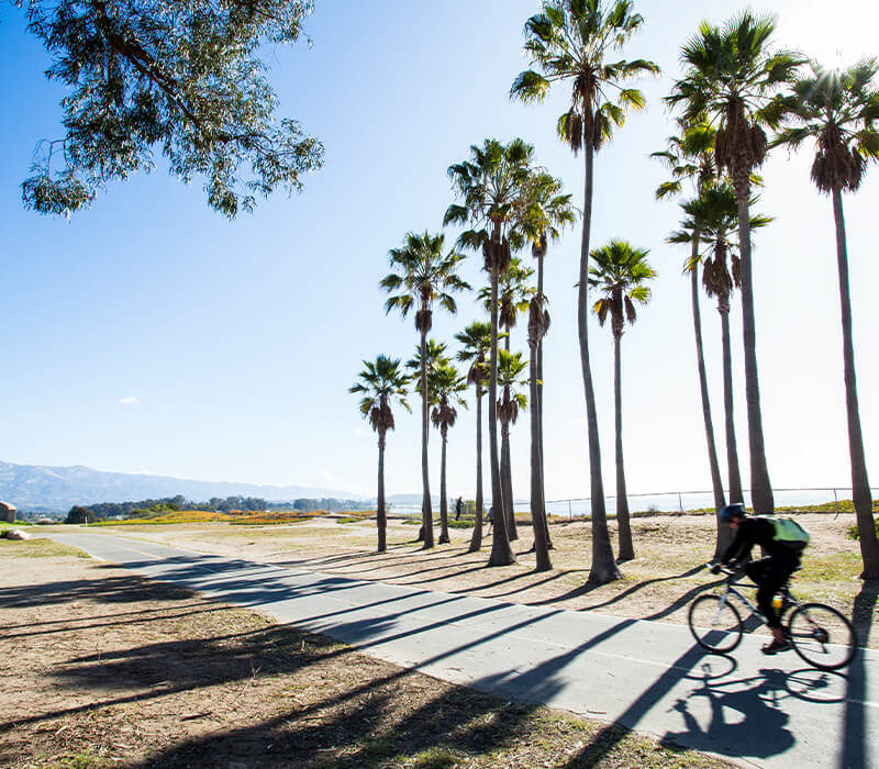 Man on a bike riding through a beautiful California scene.