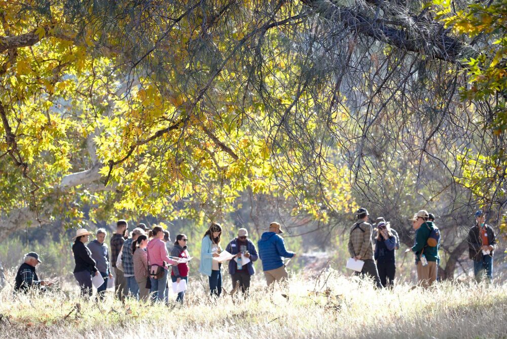 Participants at Symposium Sustaining Oak Woodlands