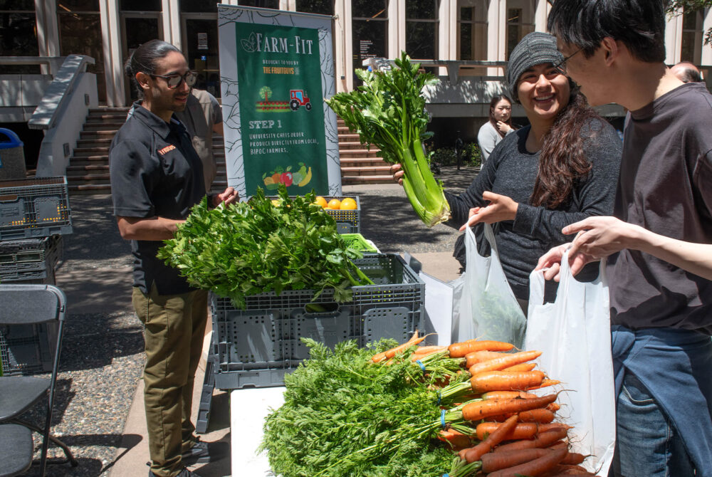 Two students packing celery and carrots at sustainable foods fair