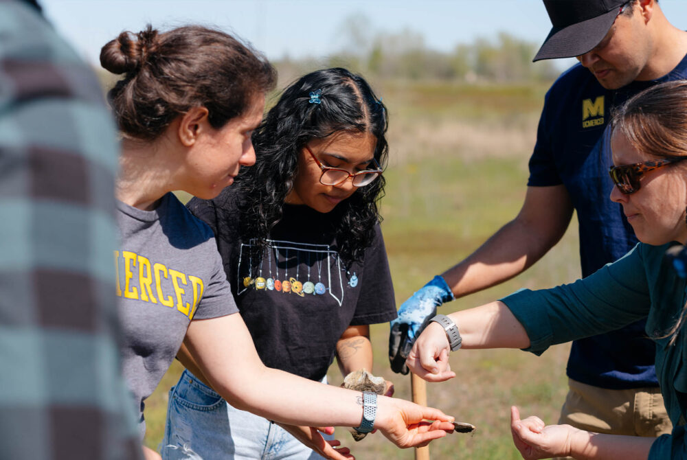 Students and professors outside examining rocks