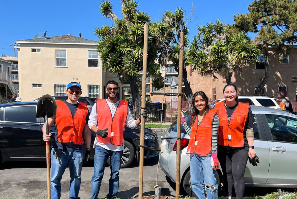 Planting trees event