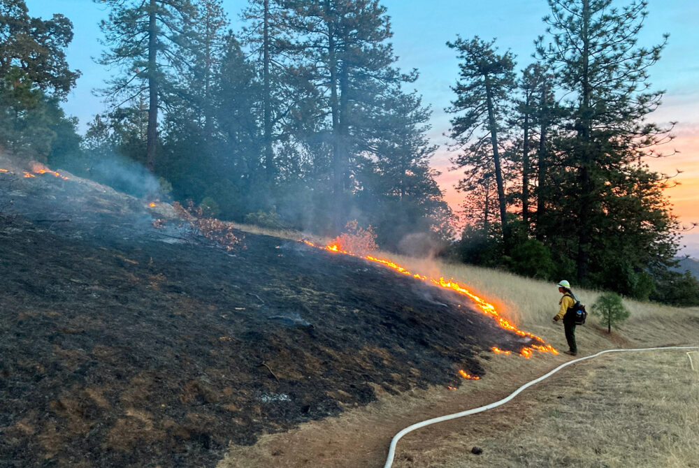 Grass On Fire Because of Wildfire