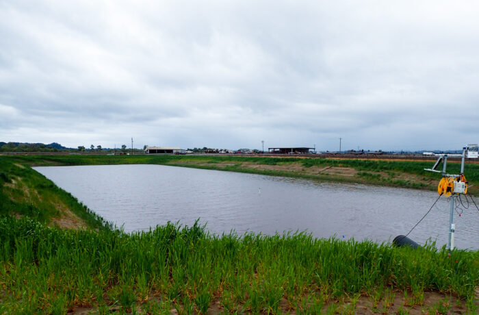 Groundwater Pond