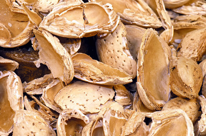 Agricultural leftovers from crops such as almonds can provide raw materials to make bioproducts
