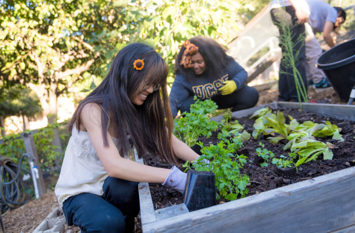 Two female students working in raised garden bed.