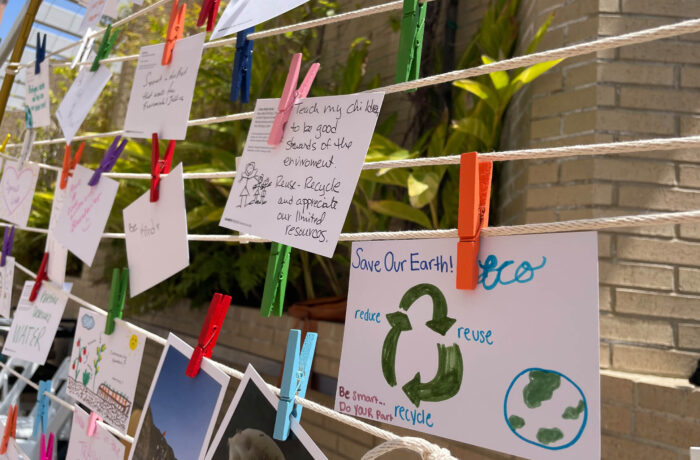 Cards and notes hung up for Kindness Day