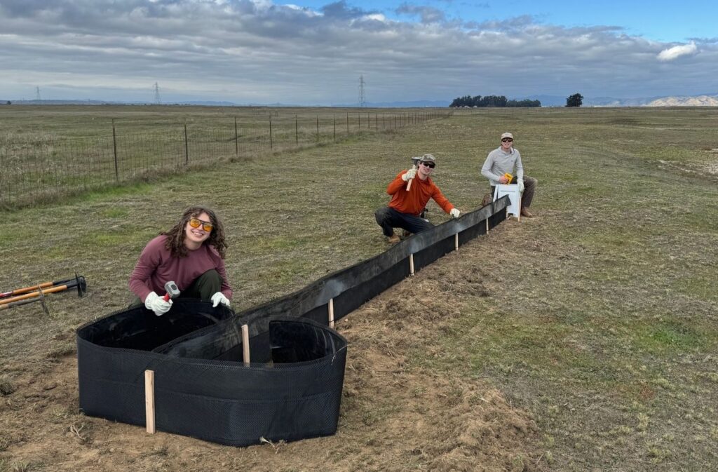 Students working in a field to install runoff barriers